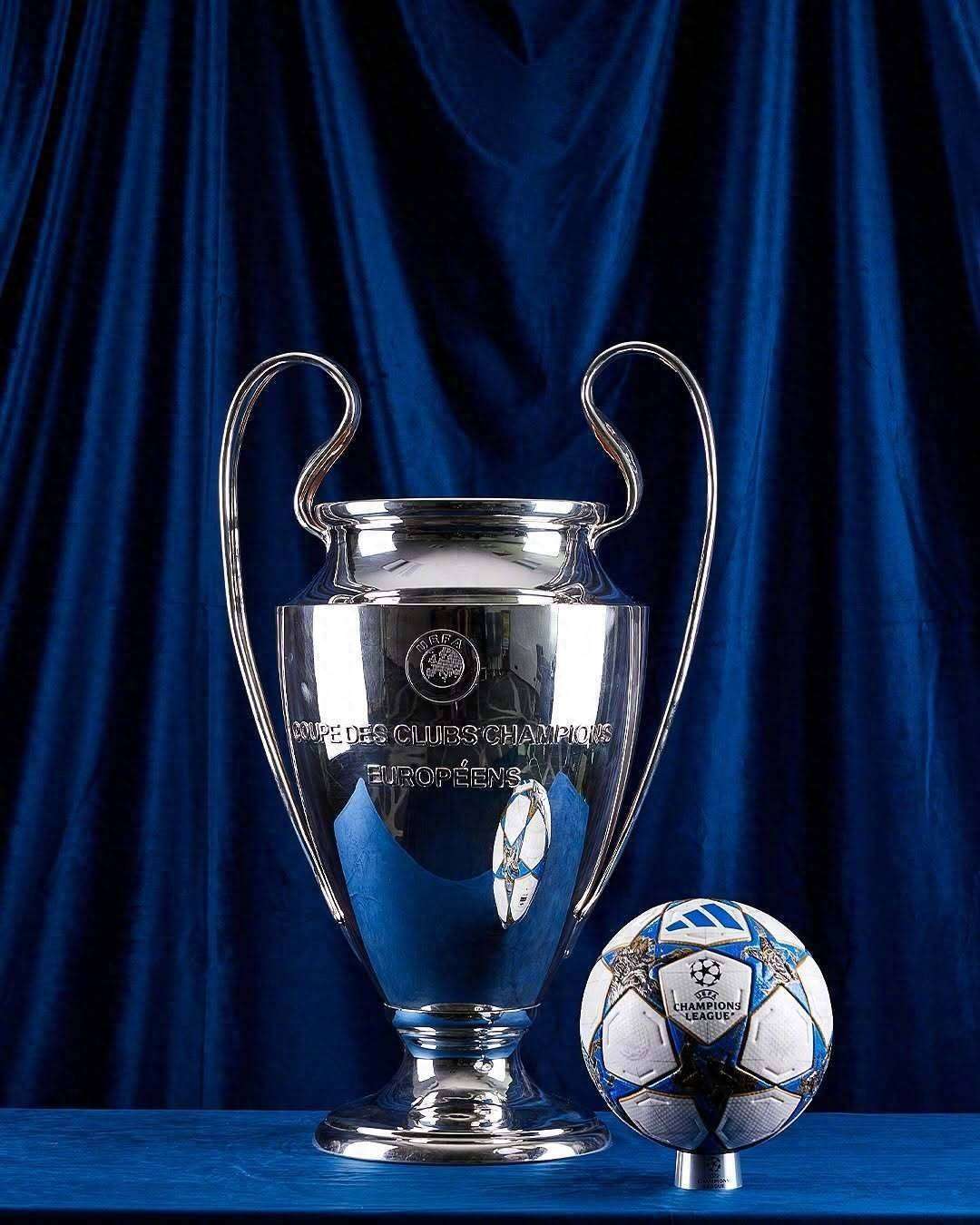 成三角草与 成三角草与